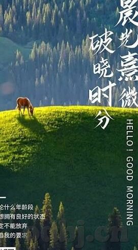 91啦 国产 麻豆视频-解锁视觉新领域，探索91啦国产麻豆视频的独特魅力