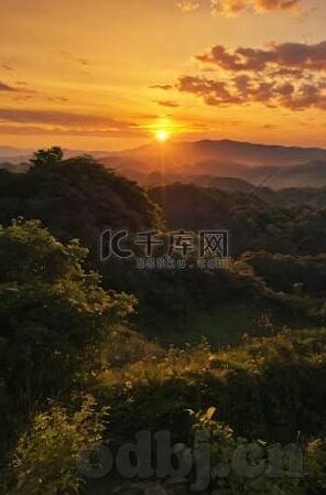 大象传媒app下载汅-解锁娱乐新境界，大象传媒app的下载与体验
