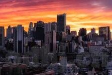 大象传媒入口伊甸园-探索大象传媒入口伊甸园，创意与文化的交汇