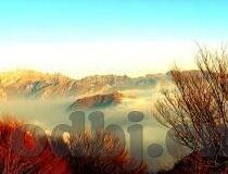 大香蕉伊人成人在线视频-大香蕉伊人，成人世界的一抹独特色彩