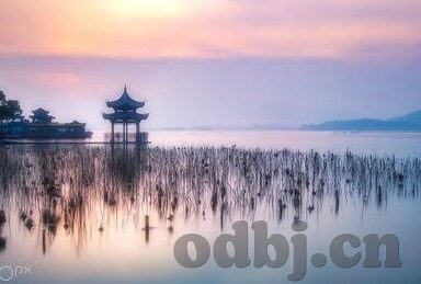 麻豆精品视频在线-麻豆精品视频，碰撞传统与创新的网络文化现象