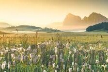 麻豆剧传媒兔子先生-麻豆剧传媒中兔子先生的奇特之旅