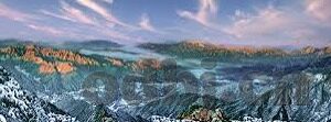 人妻受的春天-春日里的温柔绽放——人妻的细腻时光