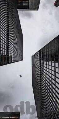 糖心app免费下载官网-了解大家对于获取各类应用的需求，我们特别推出关于获得糖心应用免费下载途径的指导这一指南性文章