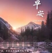 糖心Vlog在线下载-糖心Vlog在线下载，一键捕捉生活美好瞬间