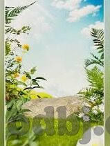 在线免费看伦理片-伦理视角下的网络免费影视内容，界限与反思